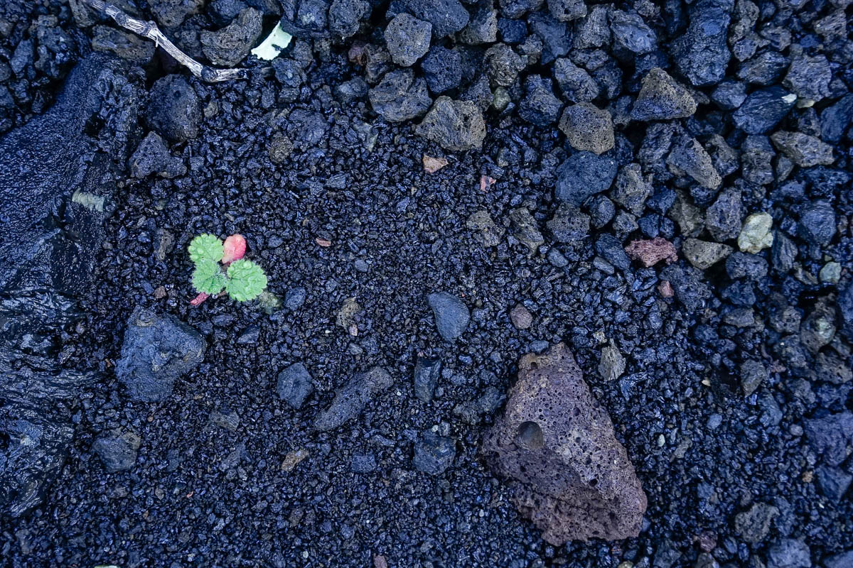 mein Vorname heisst Kraft