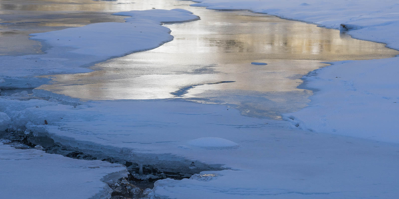 blau bis unter die Haut