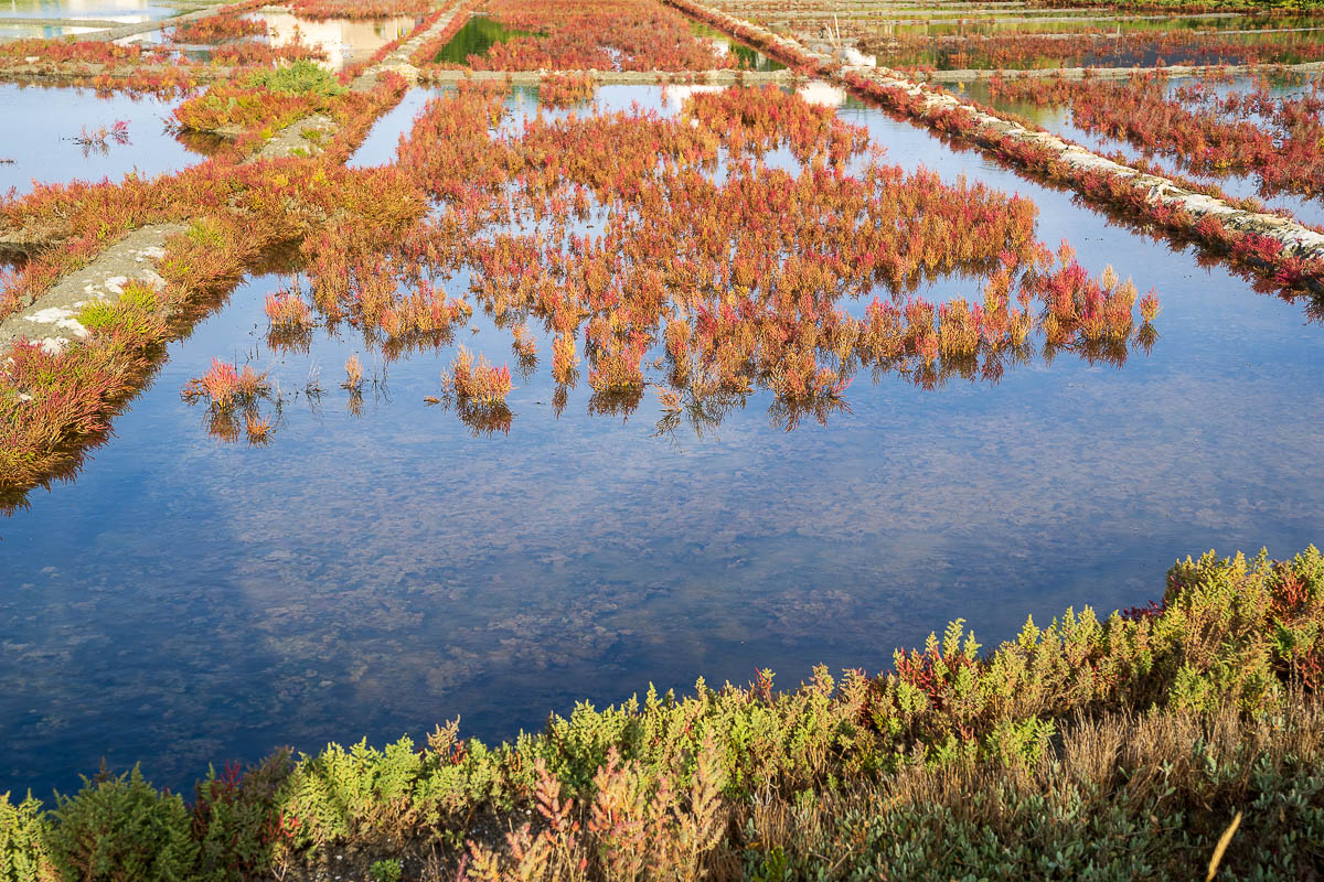 nicht Suppe, aber Salz