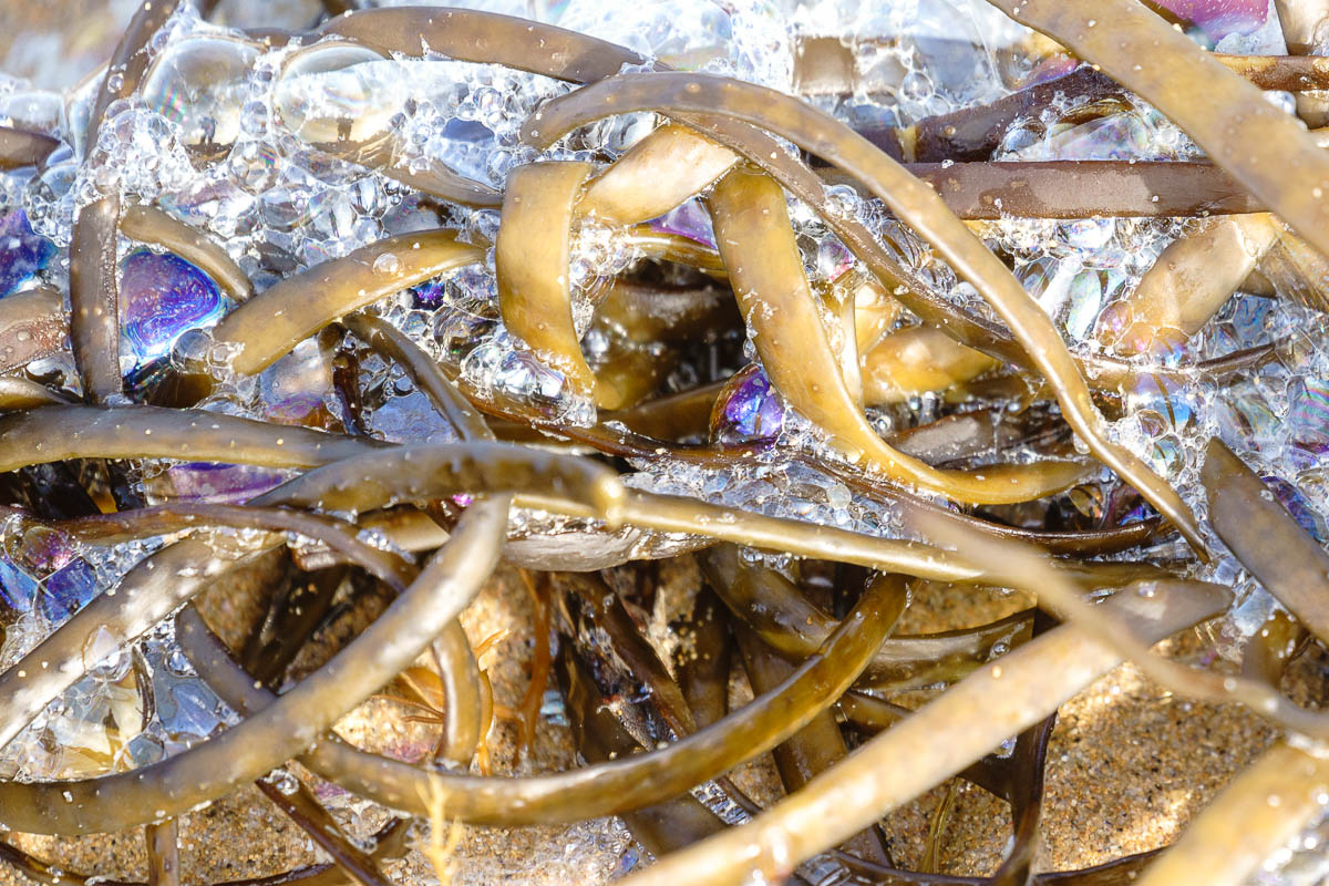 Spieglein, Spieglein..