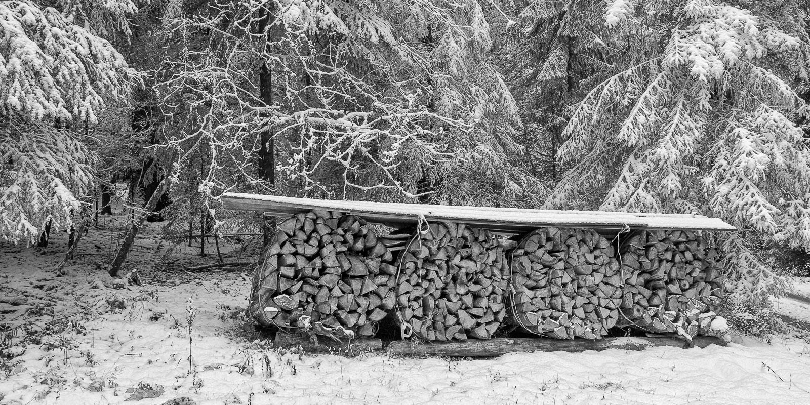 Winterschlafreserven