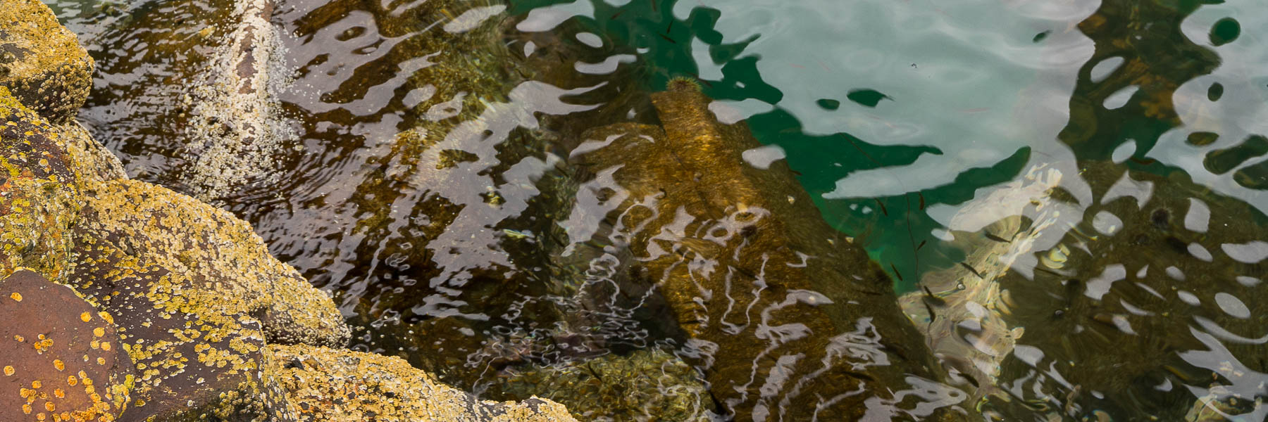 unterspühlt - Itresand