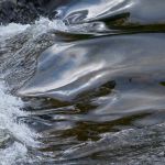 was Ohren nicht sehen,
hören Augen