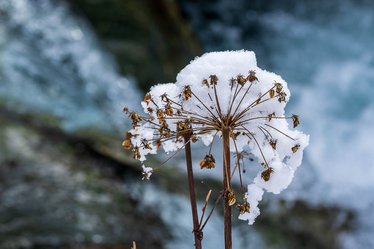 stillgestanden vor dem wilden Bach